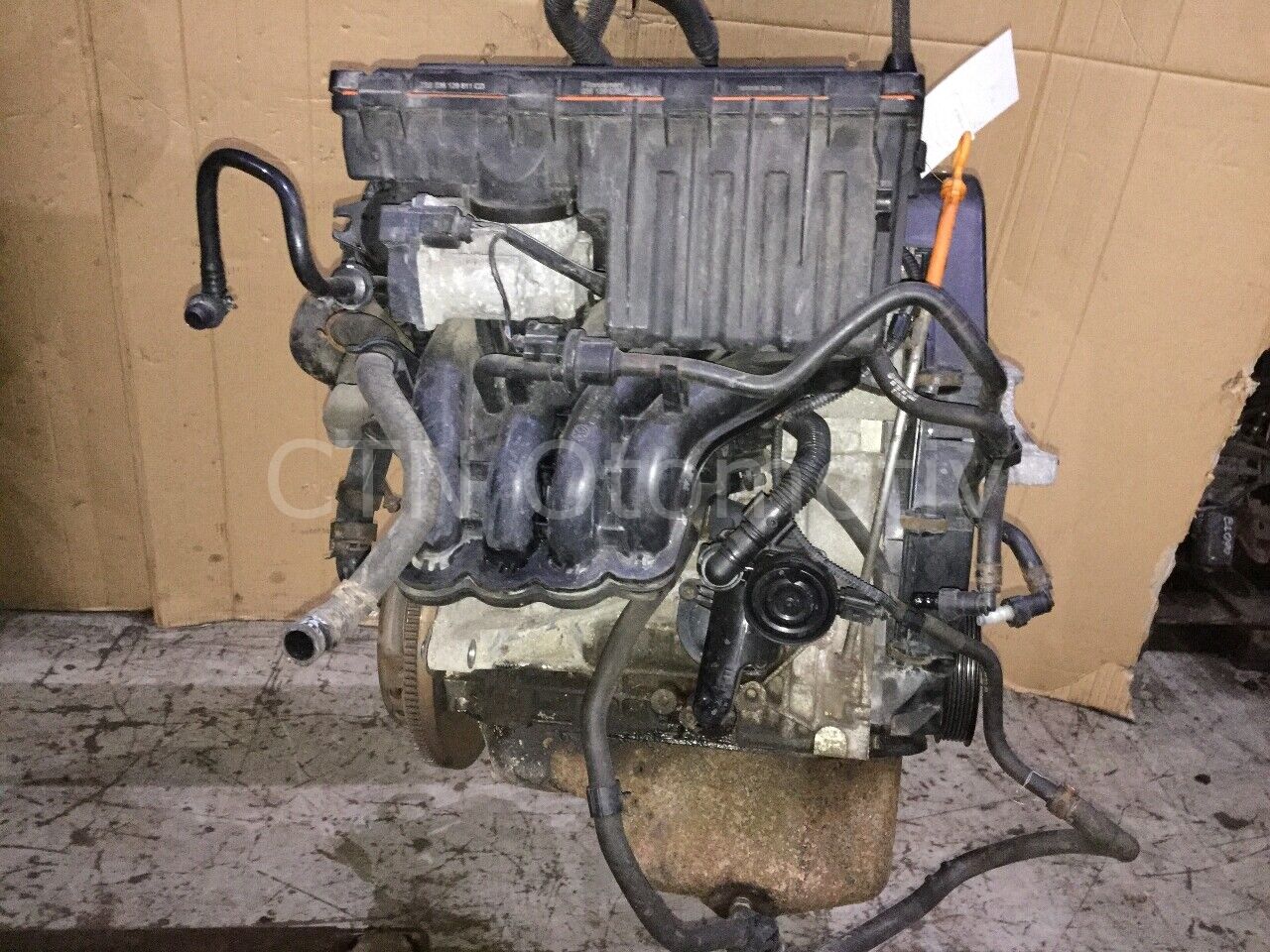 Seat Cordoba 1.4 Benzinli Çıkma Motor (BXW)