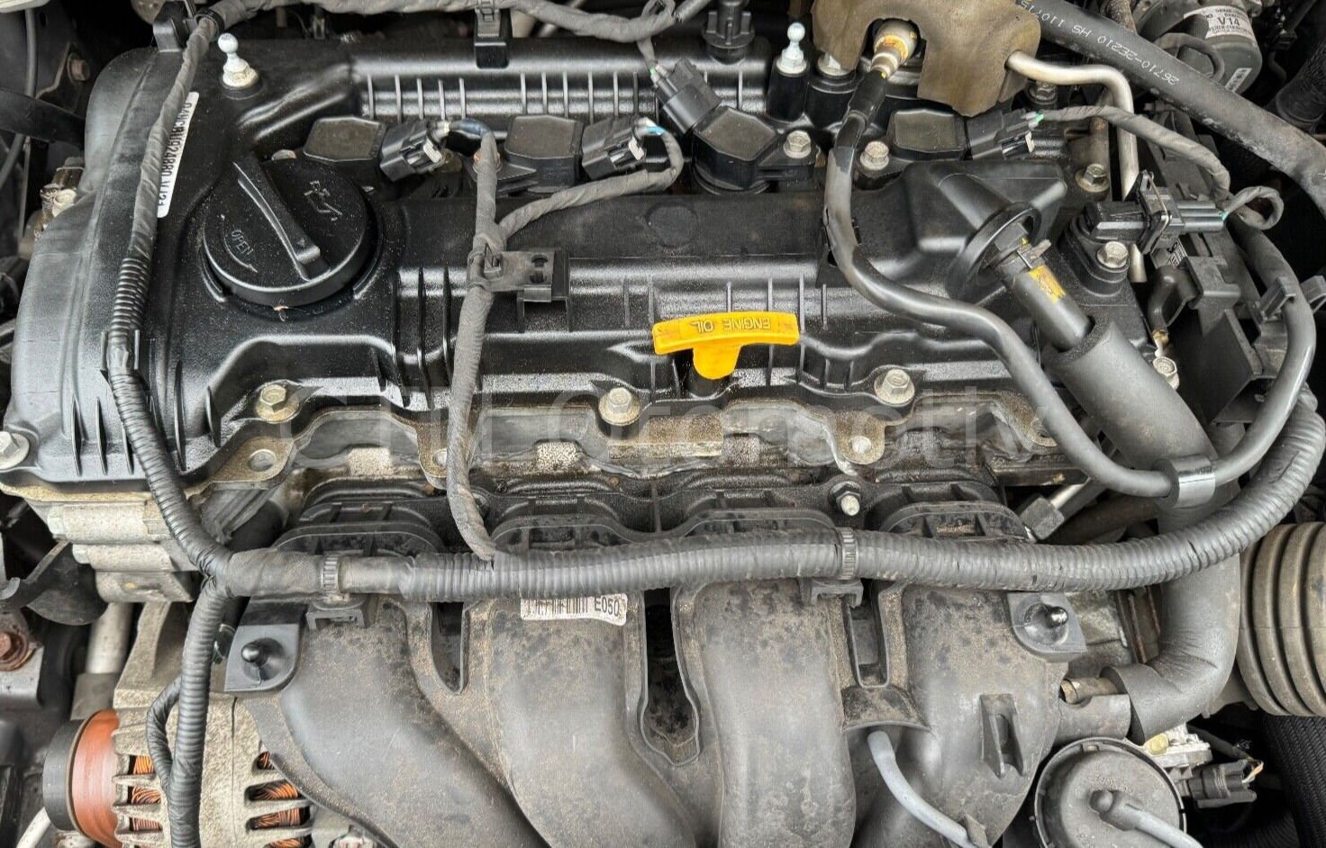 Kia Magentis 2.0 SE Çıkma Motor (G4KD)