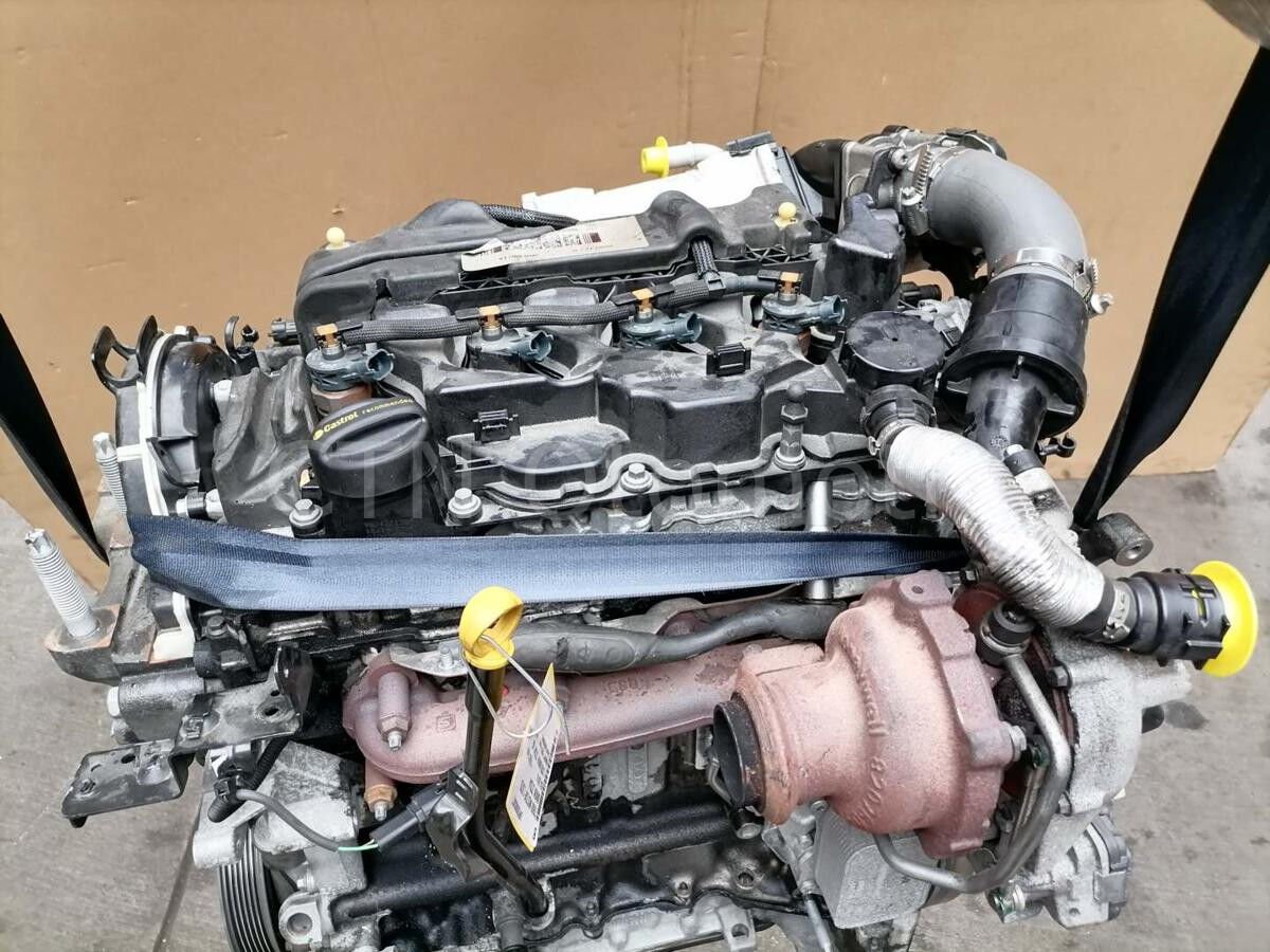 Ford Focus 1.5 EcoBlue Çıkma Motor (ZTDA)