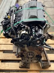 Ford Focus 2.0 TDCi Çıkma Motor (TXDB)