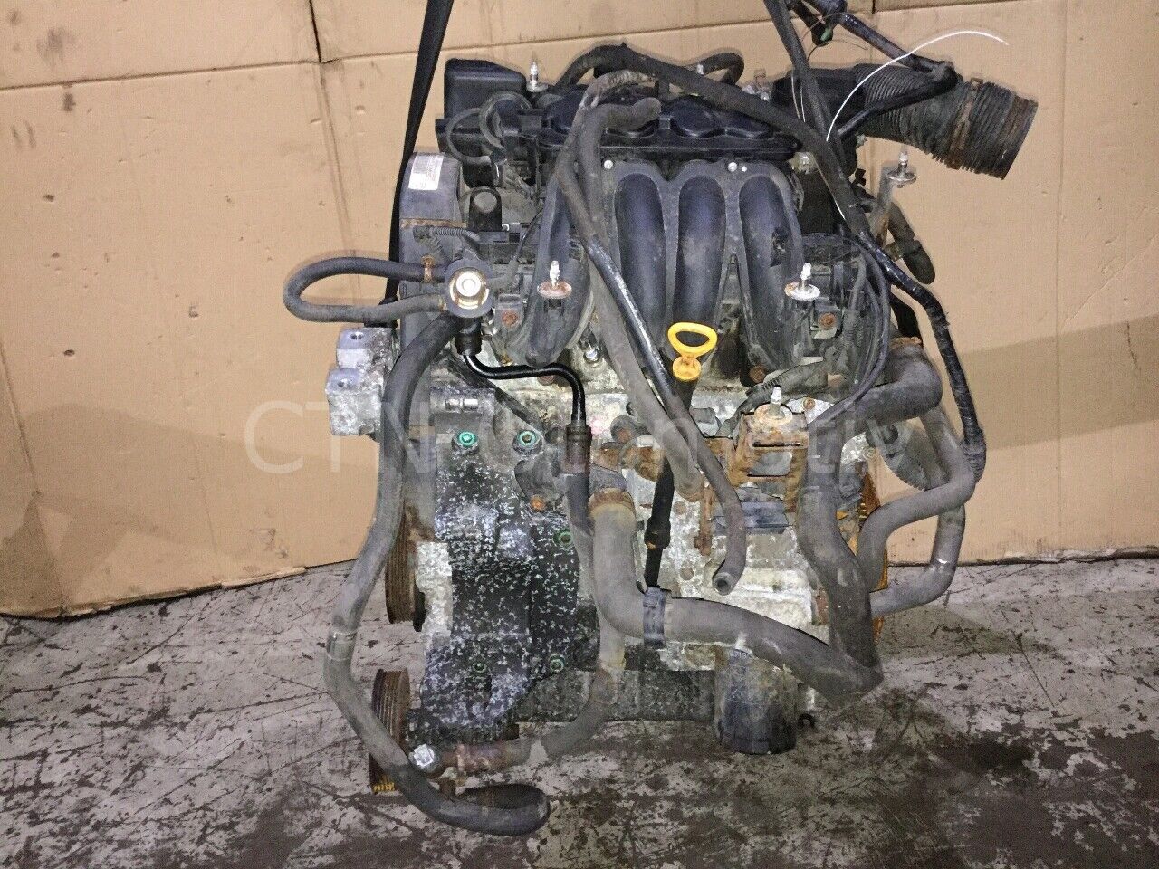 Volkswagen Golf 1.6 Çıkma Motor (AKL)