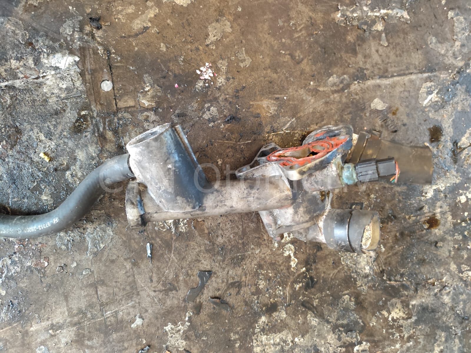 Kia Magentis 2.0 Benzinli Motor Termostat Borusu (G4JP)