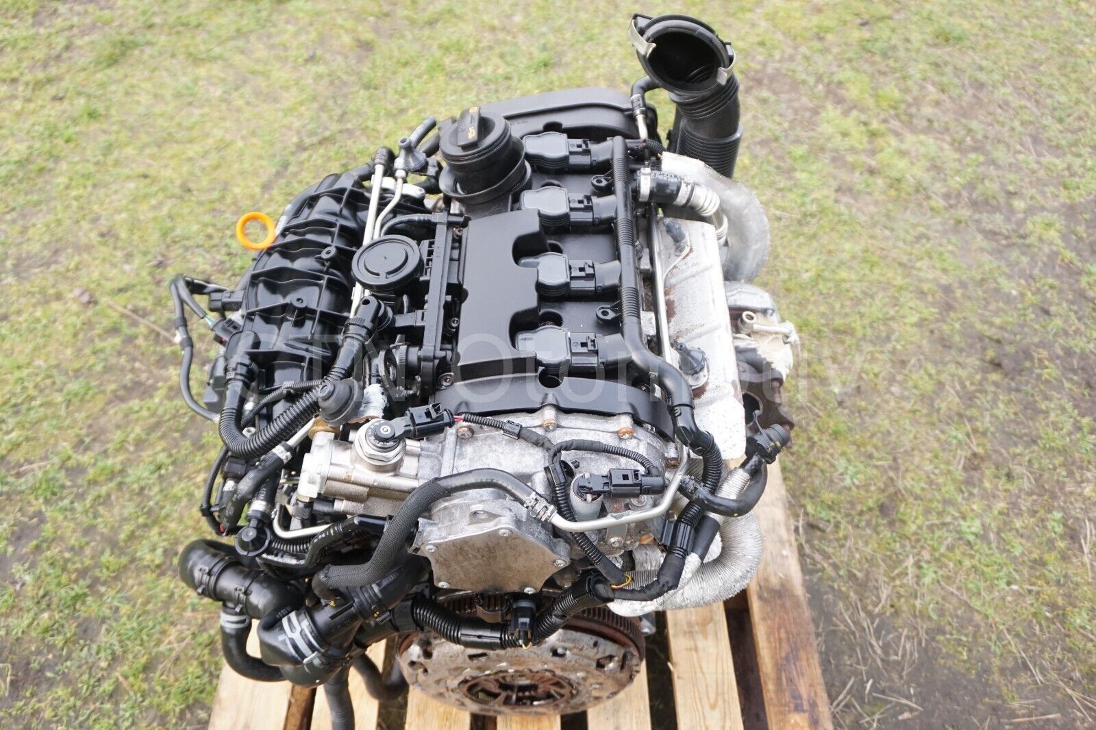 Volkswagen Golf 2.0 TSI Çıkma Motor (BWA)